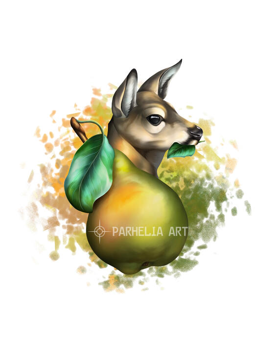 Deer*