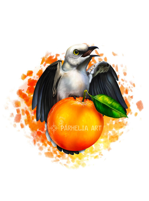 Mockingbird*