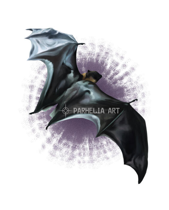 Flying Fox*