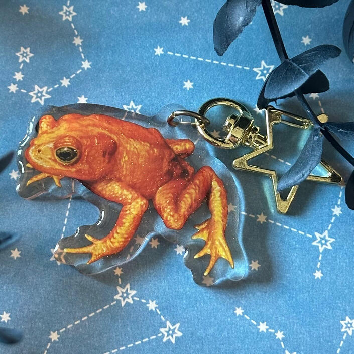 Golden Toad
