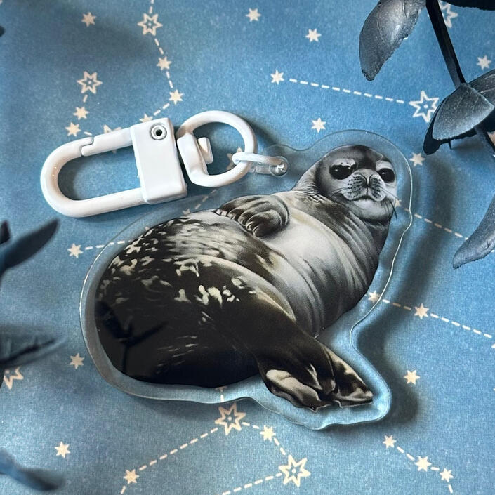 Sassy Seal