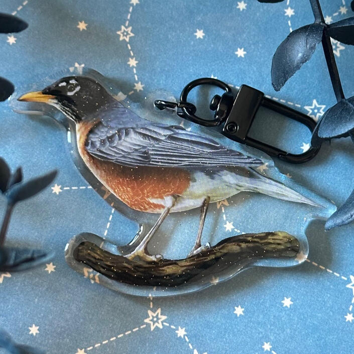 Robin*