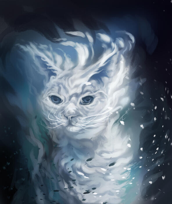 Hurricane Cat
