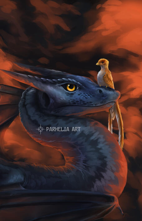 Phoenix + Wyvern