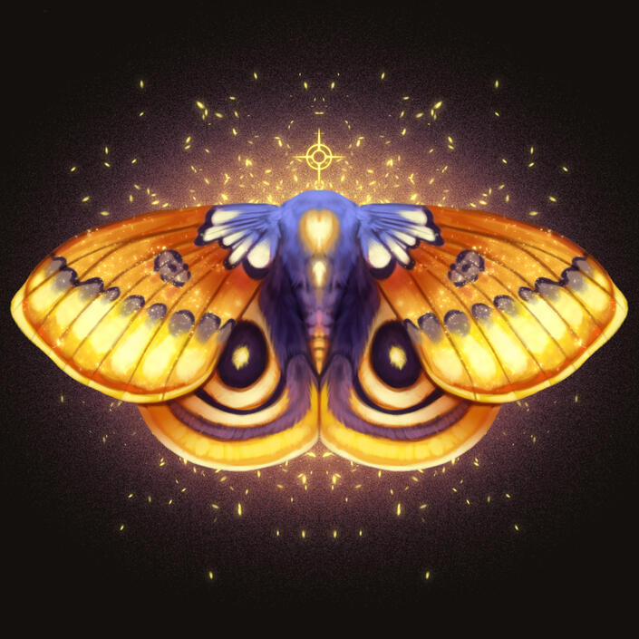 Firelight Dream*