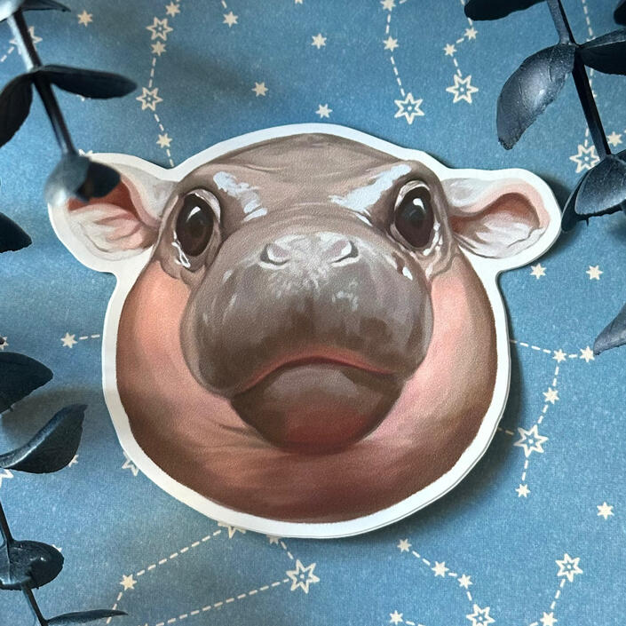 Hippo Face*