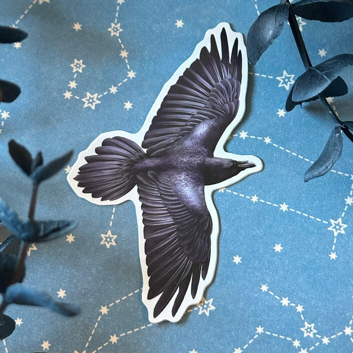 Raven
