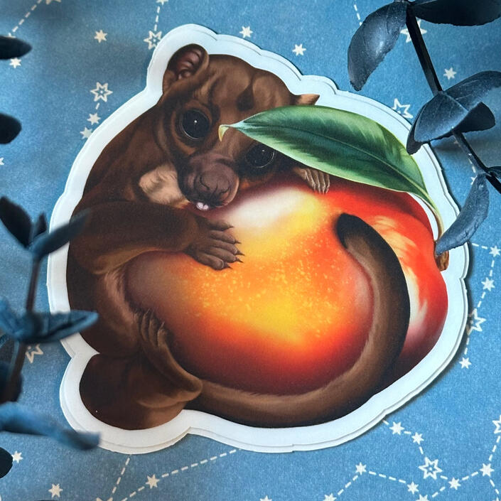 Kinkajou