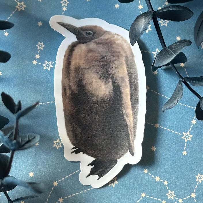 Baby Penguin