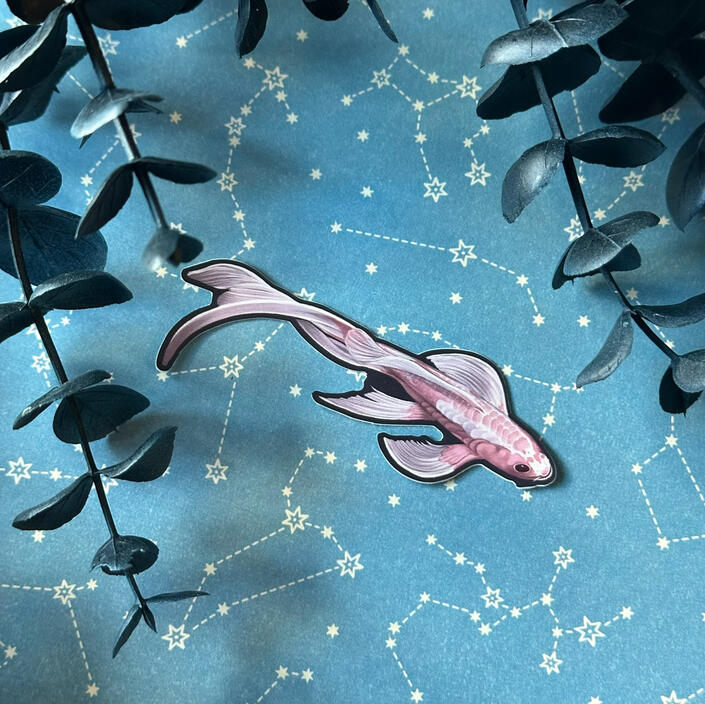 Sakura Koi*