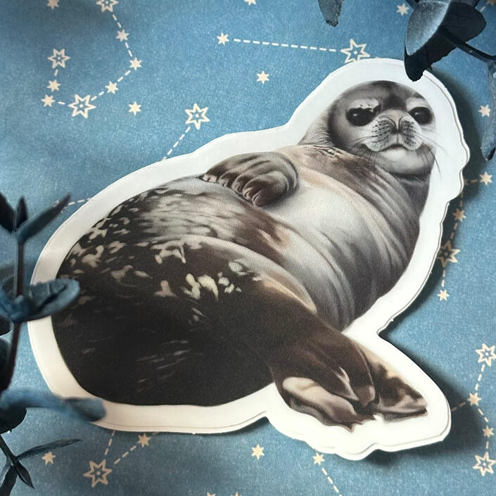 Sassy Seal